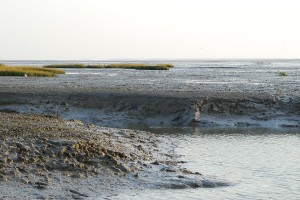 Les prÈ-salÈs du port du PavÈ sur l'estuaire de la SËvre niortaise ‡ Charron. Marais poitevin